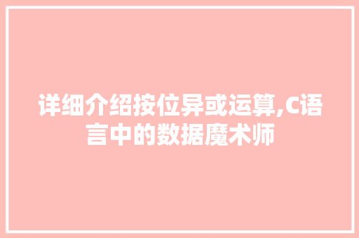 详细介绍按位异或运算,C语言中的数据魔术师