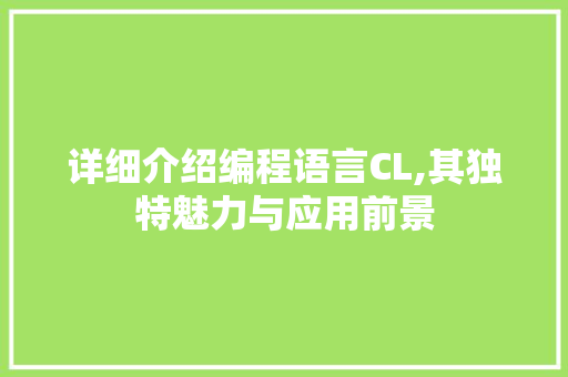 详细介绍编程语言CL,其独特魅力与应用前景 React