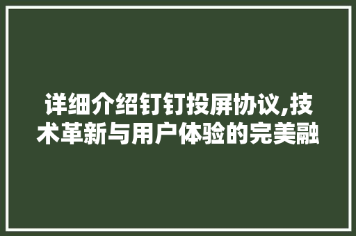 详细介绍钉钉投屏协议,技术革新与用户体验的完美融合