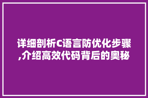 详细剖析C语言防优化步骤,介绍高效代码背后的奥秘