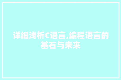 详细浅析C语言,编程语言的基石与未来