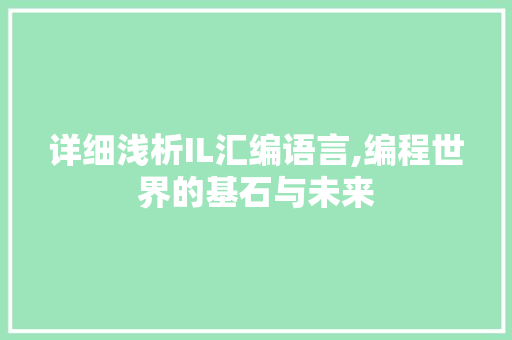 详细浅析IL汇编语言,编程世界的基石与未来