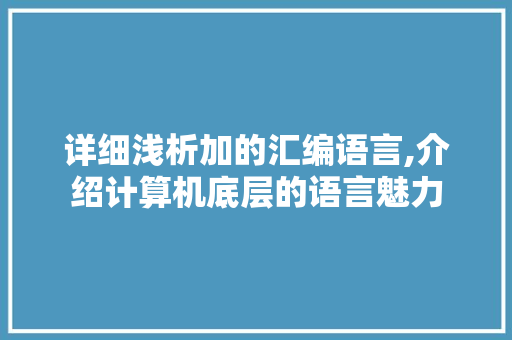 详细浅析加的汇编语言,介绍计算机底层的语言魅力