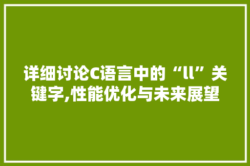 详细讨论C语言中的“ll”关键字,性能优化与未来展望