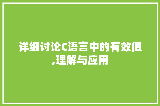 详细讨论C语言中的有效值,理解与应用