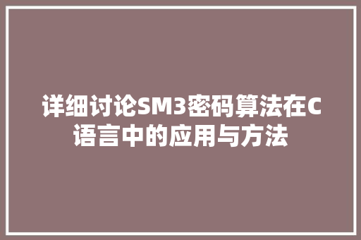 详细讨论SM3密码算法在C语言中的应用与方法