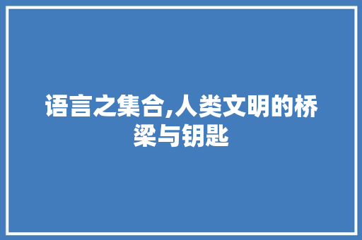 语言之集合,人类文明的桥梁与钥匙