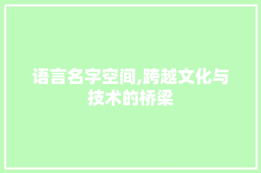 语言名字空间,跨越文化与技术的桥梁