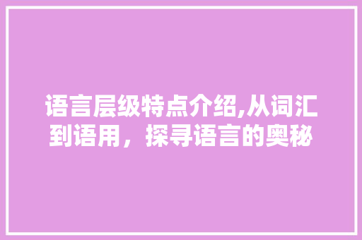 语言层级特点介绍,从词汇到语用，探寻语言的奥秘