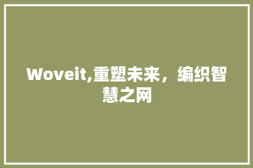 Woveit,重塑未来，编织智慧之网 JavaScript