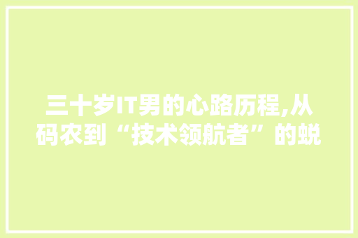 三十岁IT男的心路历程,从码农到“技术领航者”的蜕变 JavaScript