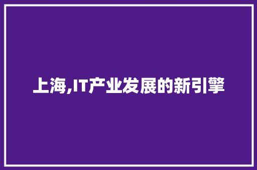 上海,IT产业发展的新引擎