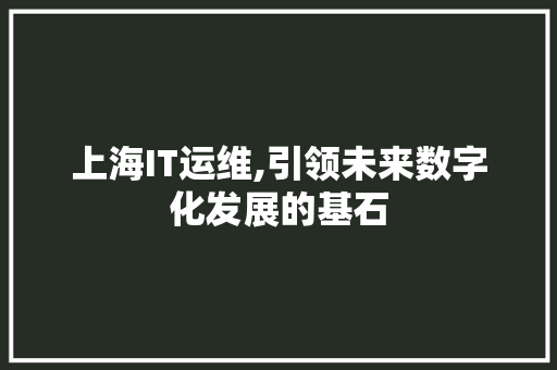 上海IT运维,引领未来数字化发展的基石