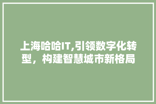 上海哈哈IT,引领数字化转型，构建智慧城市新格局