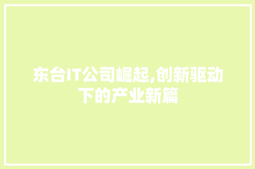 东台IT公司崛起,创新驱动下的产业新篇