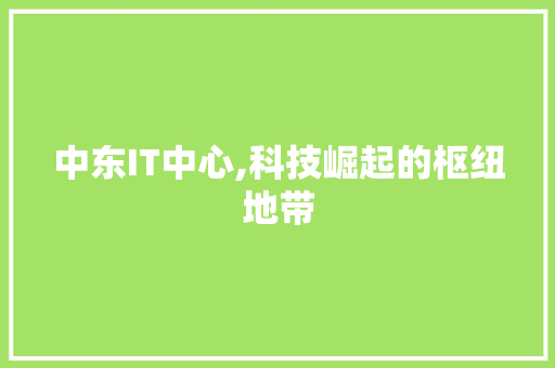 中东IT中心,科技崛起的枢纽地带