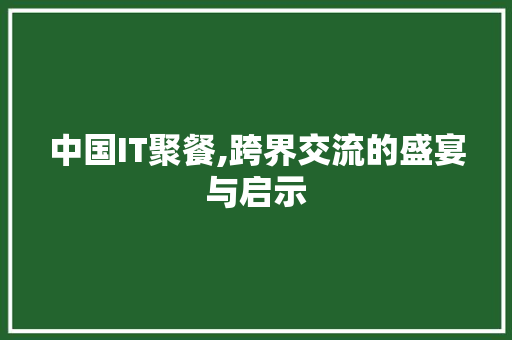 中国IT聚餐,跨界交流的盛宴与启示