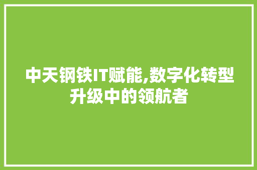 中天钢铁IT赋能,数字化转型升级中的领航者