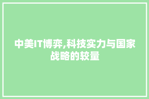 中美IT博弈,科技实力与国家战略的较量 Python