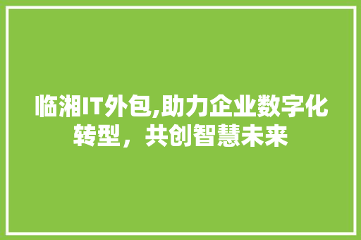 临湘IT外包,助力企业数字化转型，共创智慧未来