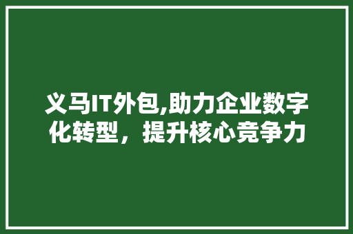 义马IT外包,助力企业数字化转型，提升核心竞争力