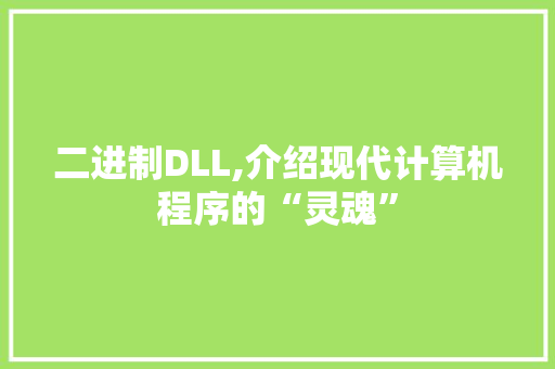 二进制DLL,介绍现代计算机程序的“灵魂” JavaScript