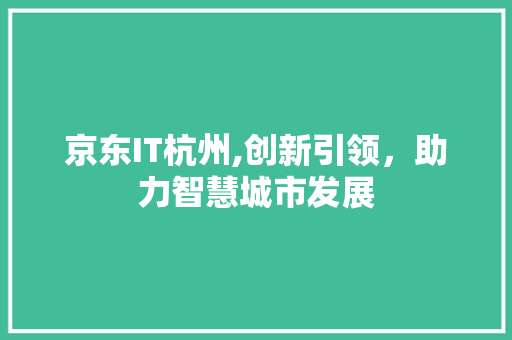 京东IT杭州,创新引领，助力智慧城市发展