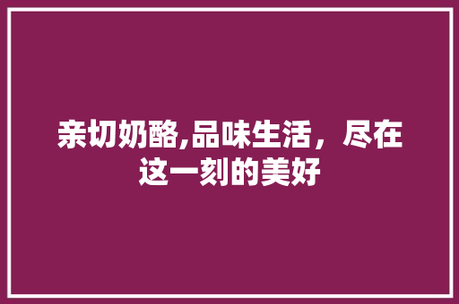 亲切奶酪,品味生活，尽在这一刻的美好