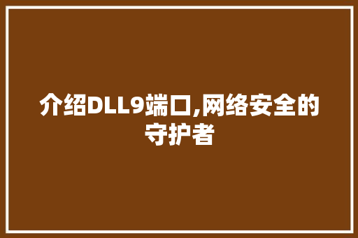 介绍DLL9端口,网络安全的守护者