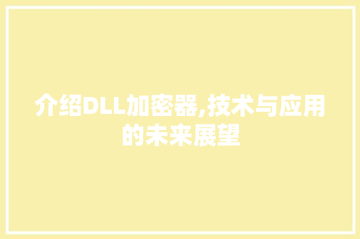 介绍DLL加密器,技术与应用的未来展望