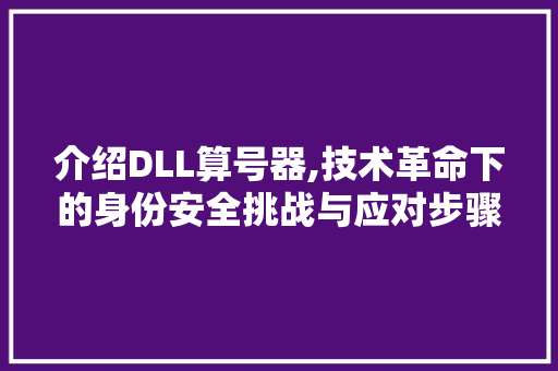 介绍DLL算号器,技术革命下的身份安全挑战与应对步骤