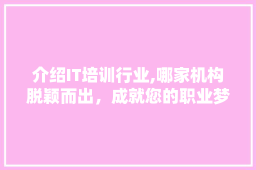 介绍IT培训行业,哪家机构脱颖而出，成就您的职业梦想