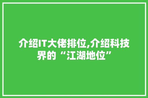 介绍IT大佬排位,介绍科技界的“江湖地位”