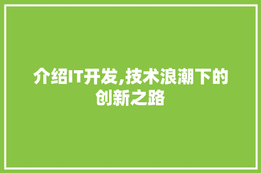 介绍IT开发,技术浪潮下的创新之路