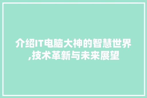 介绍IT电脑大神的智慧世界,技术革新与未来展望