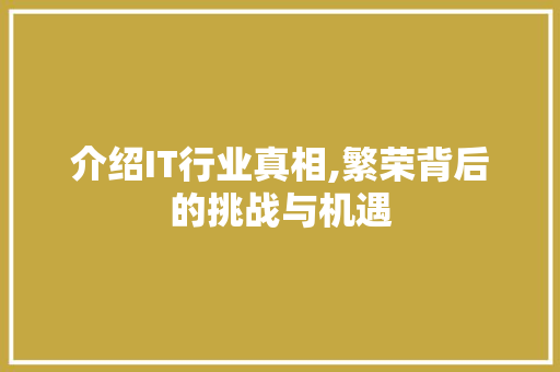 介绍IT行业真相,繁荣背后的挑战与机遇