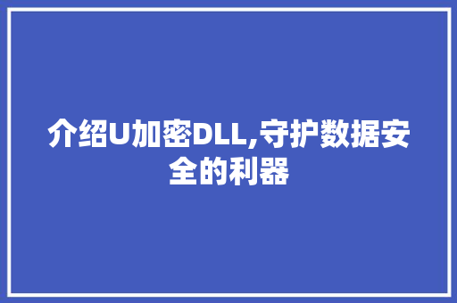 介绍U加密DLL,守护数据安全的利器