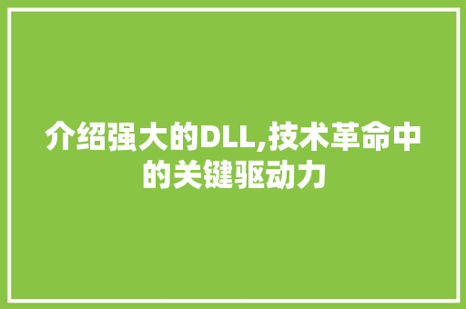 介绍强大的DLL,技术革命中的关键驱动力