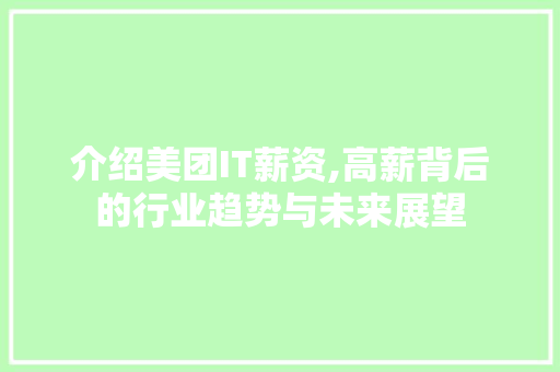 介绍美团IT薪资,高薪背后的行业趋势与未来展望