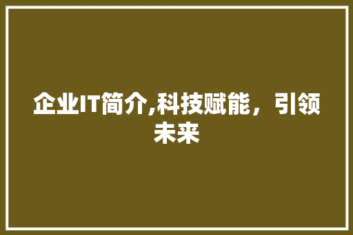 企业IT简介,科技赋能，引领未来