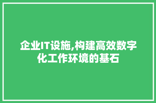 企业IT设施,构建高效数字化工作环境的基石