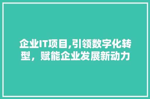 企业IT项目,引领数字化转型，赋能企业发展新动力