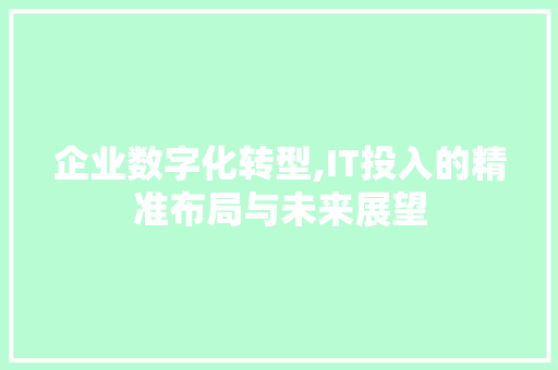 企业数字化转型,IT投入的精准布局与未来展望