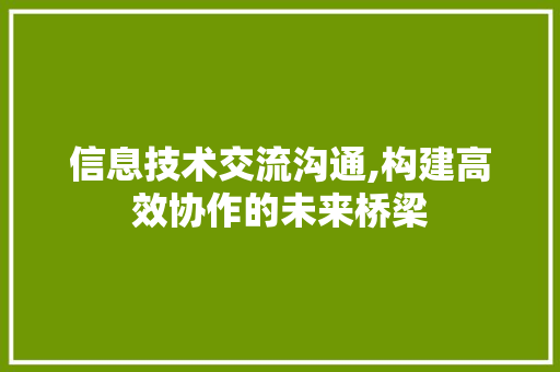 信息技术交流沟通,构建高效协作的未来桥梁