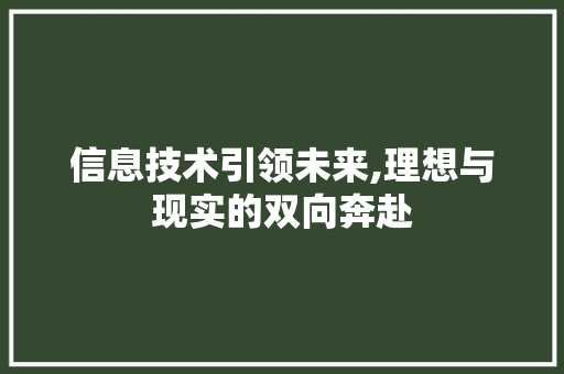 信息技术引领未来,理想与现实的双向奔赴