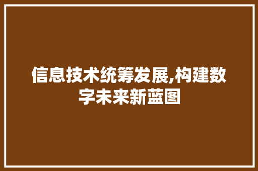 信息技术统筹发展,构建数字未来新蓝图