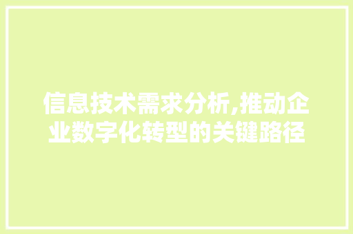 信息技术需求分析,推动企业数字化转型的关键路径