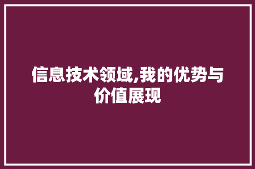 信息技术领域,我的优势与价值展现