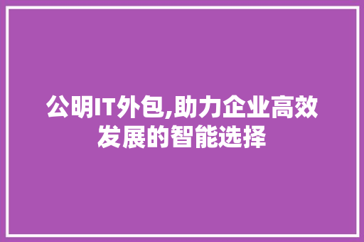 公明IT外包,助力企业高效发展的智能选择