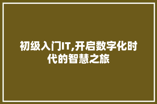 初级入门IT,开启数字化时代的智慧之旅